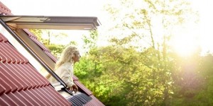 VELUX PREMIUM GPL/GPU - панорамное